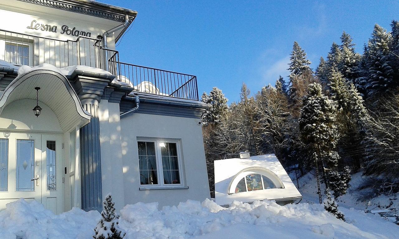 Lesna Polana- Blisko Centrum, Mini Spa, Cicha, Spokojna Okolica, Parking Gratis Крыница-Здруй Экстерьер фото