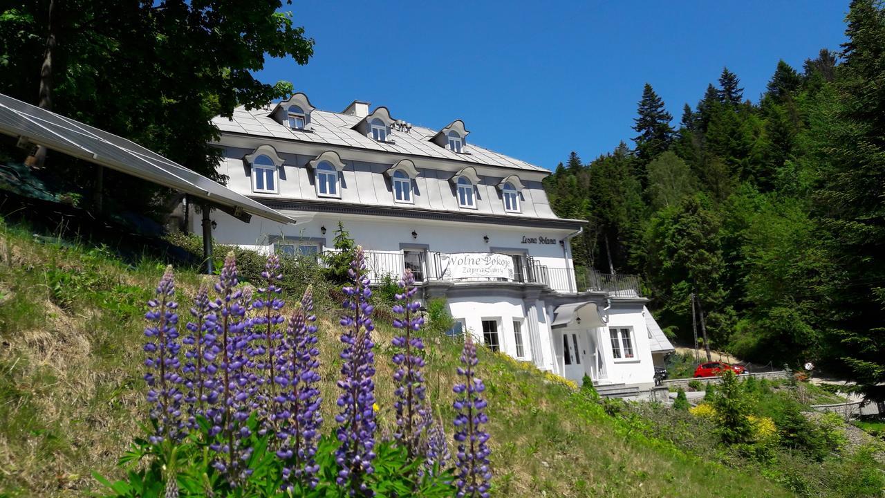 Lesna Polana- Blisko Centrum, Mini Spa, Cicha, Spokojna Okolica, Parking Gratis Крыница-Здруй Экстерьер фото